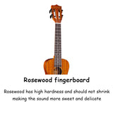 Gecko Factory Top Sale 23-inch Shiny Ukulele Stringed Instrument Shiny GU9