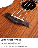 Gecko Factory Top Sale 23-inch Matte Ukulele Stringed Instrument Matte GU9