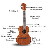Gecko Factory Top Sale 23-inch Matte Ukulele Stringed Instrument Matte GU9