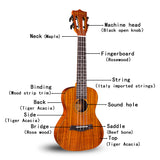 Gecko Factory Top Sale 23-inch Shiny Ukulele Stringed Instrument Shiny GU9