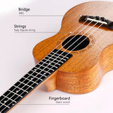 Gecko 23 Inch Mahogany Hawaii Ukulele UK102
